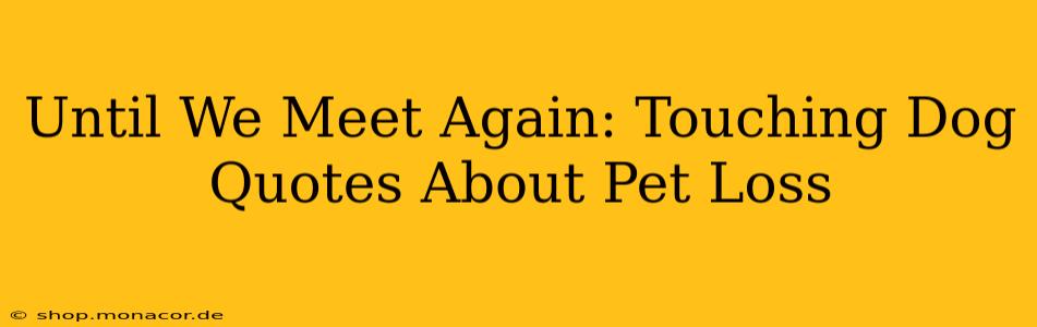 Until We Meet Again: Touching Dog Quotes About Pet Loss